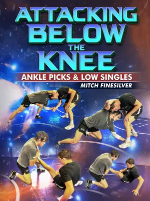 Attacking Below The Knee by Mitch Finesilver